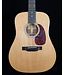 Eastman E1D Deluxe 12-String Dreadnought Acoustic Electric,