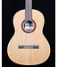 Cordoba C5 Dolce 7/8 Nylon String Guitar