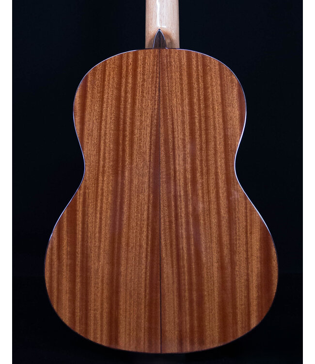 Cordoba C5 Dolce 7/8 Nylon String Guitar