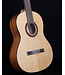 Cordoba C5 Dolce 7/8 Nylon String Guitar