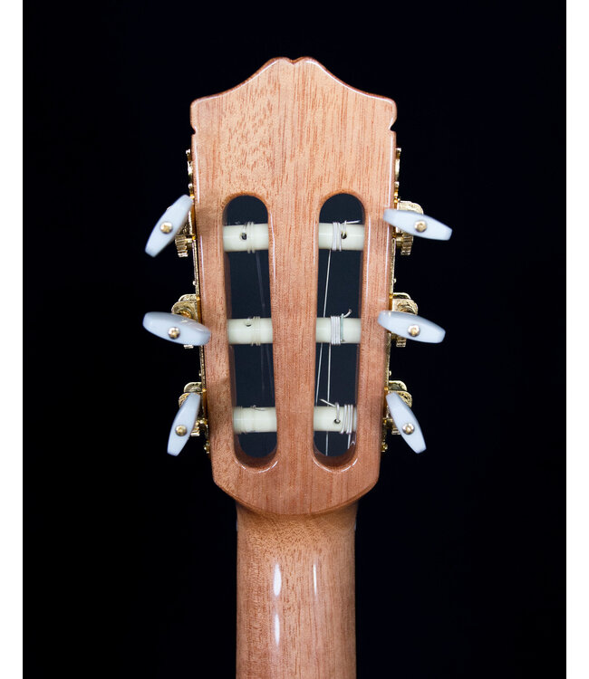 Cordoba C5 Dolce 7/8 Nylon String Guitar