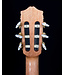 Cordoba C5 Dolce 7/8 Nylon String Guitar