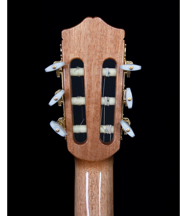 Cordoba C5-CE Spruce Top