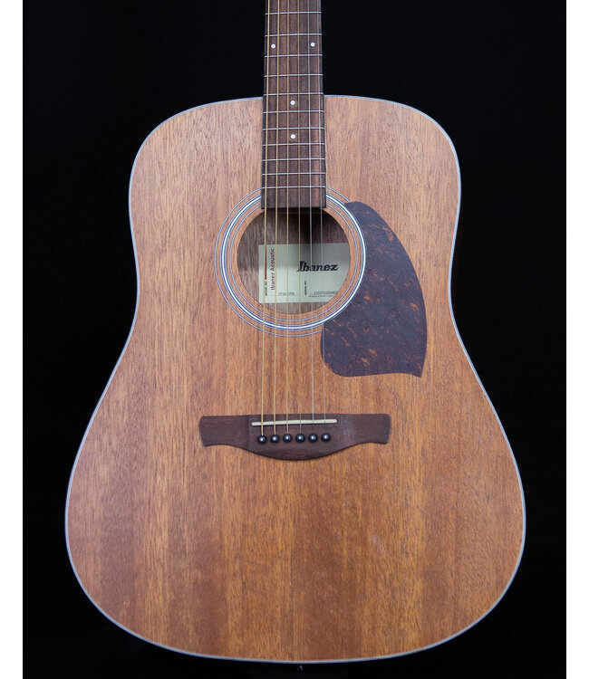 Ibanez PF54 Acoustic Dreadnought, Open Pore Natural