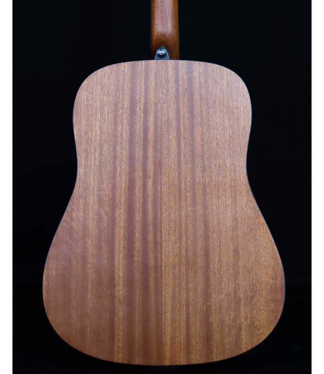 Ibanez PF54 Acoustic Dreadnought, Open Pore Natural