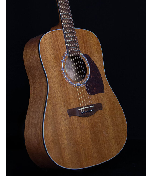 Ibanez PF54 Acoustic Dreadnought, Open Pore Natural