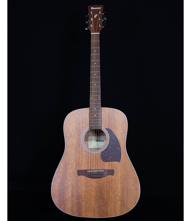 Ibanez PF54 Acoustic Dreadnought, Open Pore Natural