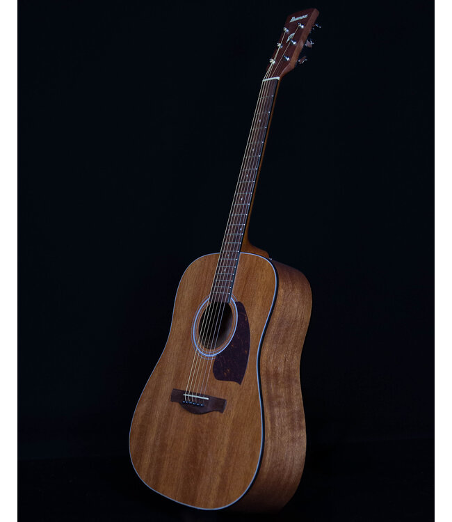 Ibanez PF54 Acoustic Dreadnought, Open Pore Natural