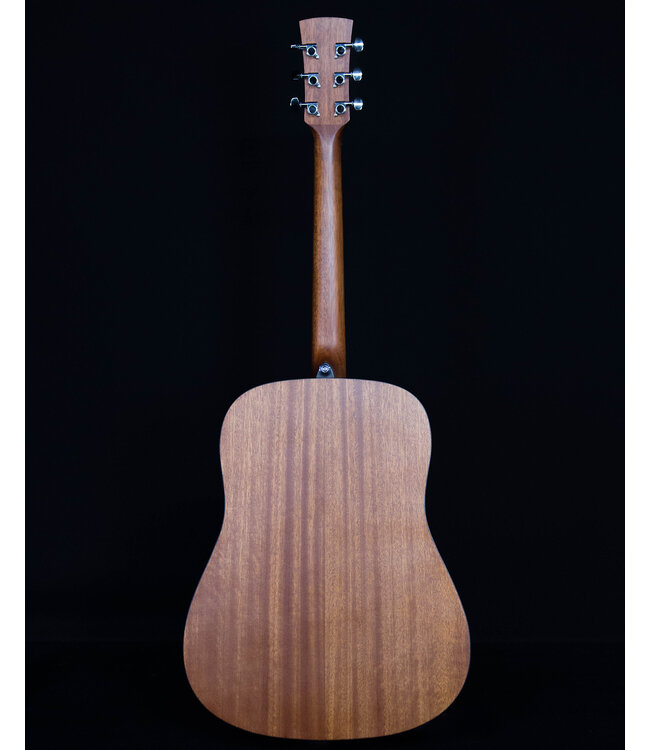 Ibanez PF54 Acoustic Dreadnought, Open Pore Natural