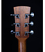 Ibanez PF54 Acoustic Dreadnought, Open Pore Natural
