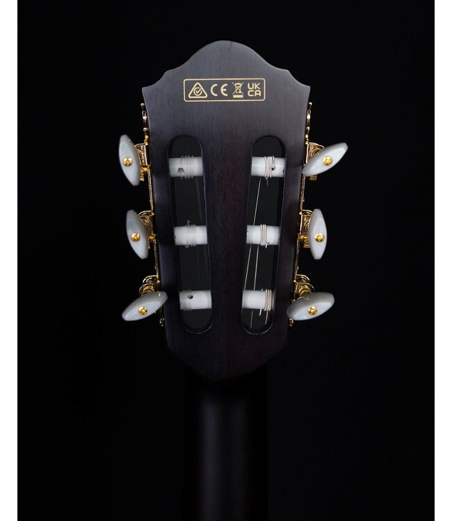 Ibanez FRH20QMNCTL Nylon Acoustic/Electric, Cosmic Blue Low Gloss