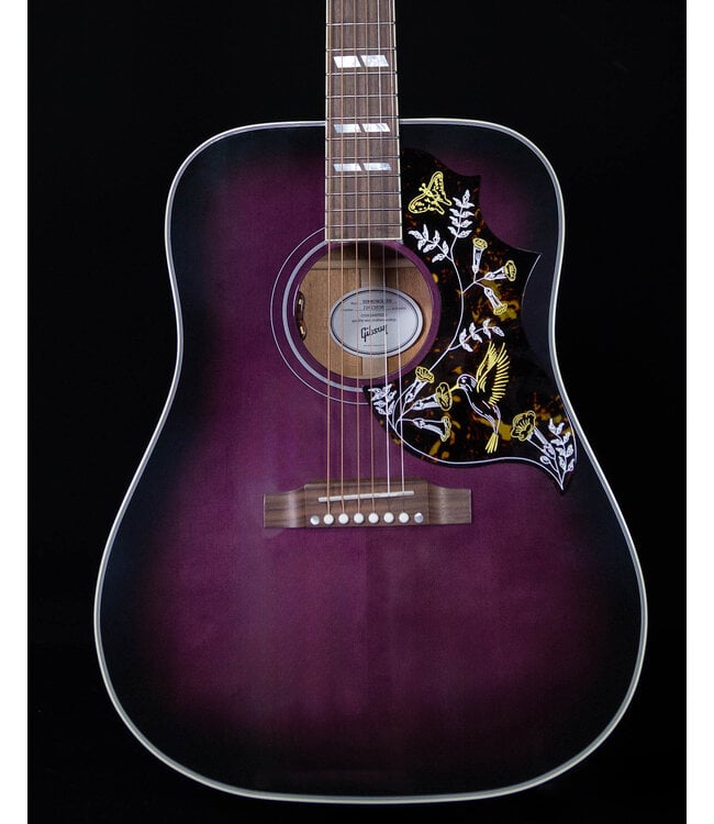 Gibson Hummingbird Standard Acoustic Guitar, Purple Burst