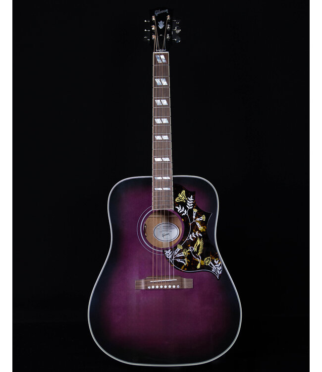 Gibson Hummingbird Standard Acoustic Guitar, Purple Burst
