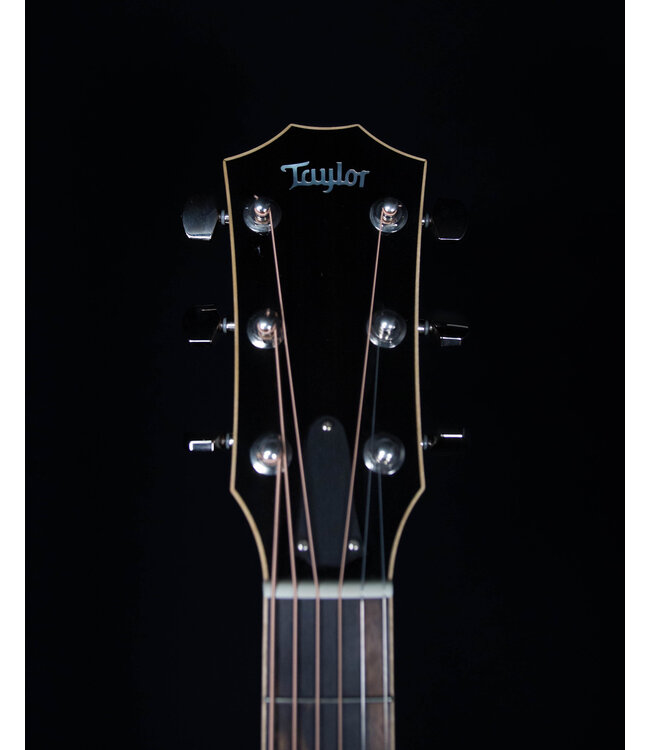 Taylor 810e Brazilian Rosewood Limited w/Hard Shell Case, 2015 - USED