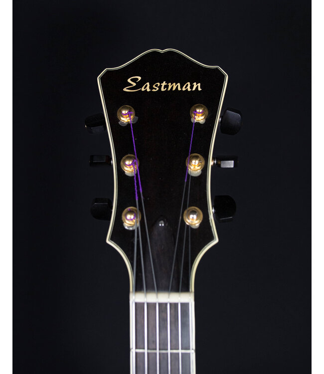 Eastman AR810CE, Natural with Hardshell Case, 2007 - USED