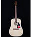 Fender CD-60 Dreadnought V3 with Case, Walnut FB, Natural