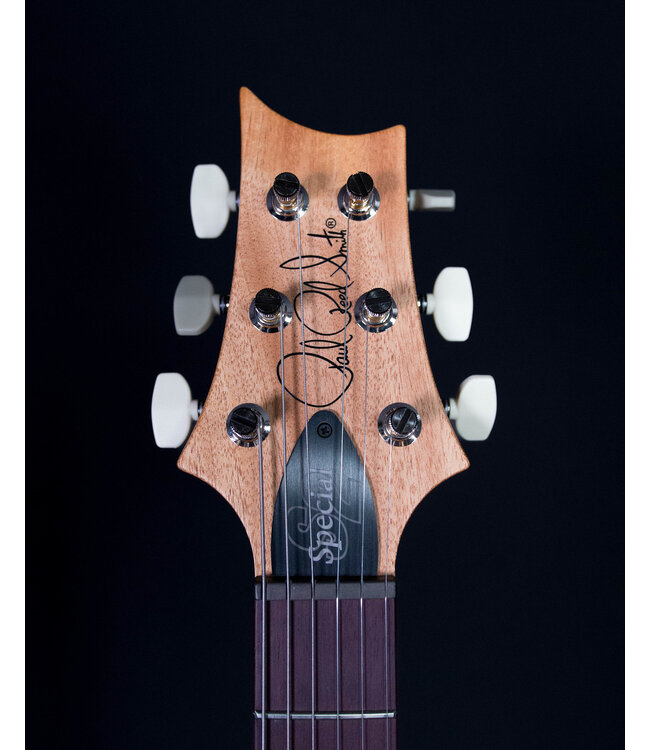 PRS S2 Special Semi-Hollow "Reclaimed" Limited Edition, Natural