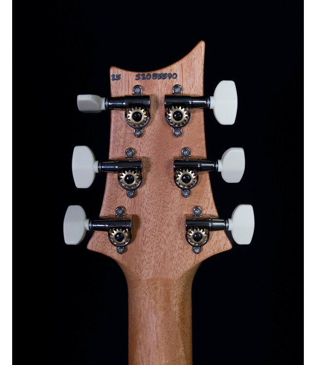 PRS S2 Special Semi-Hollow "Reclaimed" Limited Edition, Natural