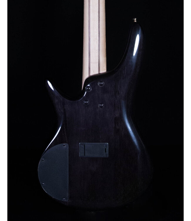 Ibanez Limited SR405EPBDXTSU SR Standard 5-String Electric Bass - Tropical Seafloor Burst