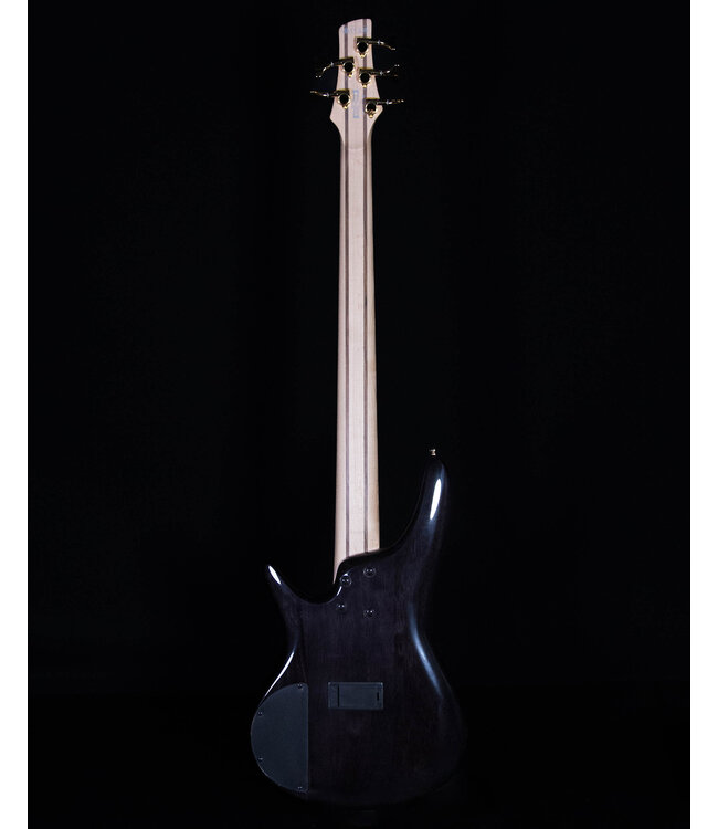 Ibanez Limited SR405EPBDXTSU SR Standard 5-String Electric Bass - Tropical Seafloor Burst