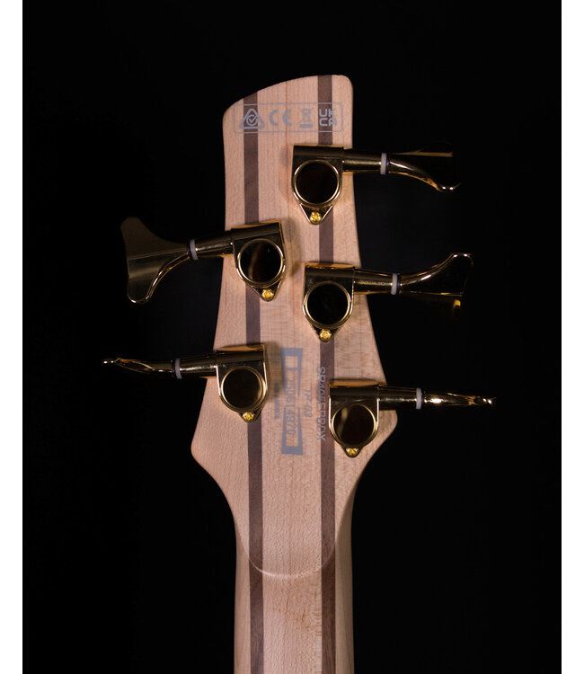 Ibanez Limited SR405EPBDXTSU SR Standard 5-String Electric Bass - Tropical Seafloor Burst