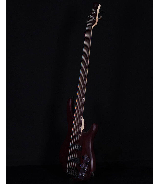 Yamaha TRBX505 5-String Bass, Transparent Brown