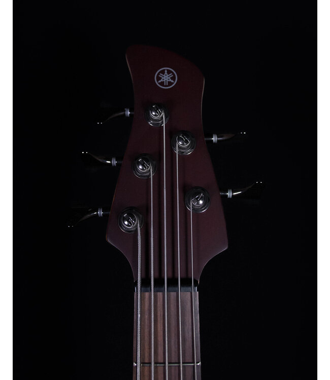 Yamaha TRBX505 5-String Bass, Transparent Brown