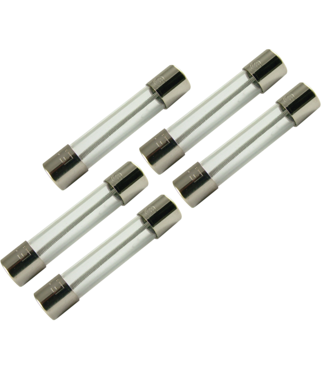 Fuse - 1.0amp Slow-Blow, 250V, 3AG, 0.25" x 1.25", 5-Pack