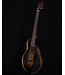 Yamaha SLG200 S Silent Guitar, Tobacco Sunburst