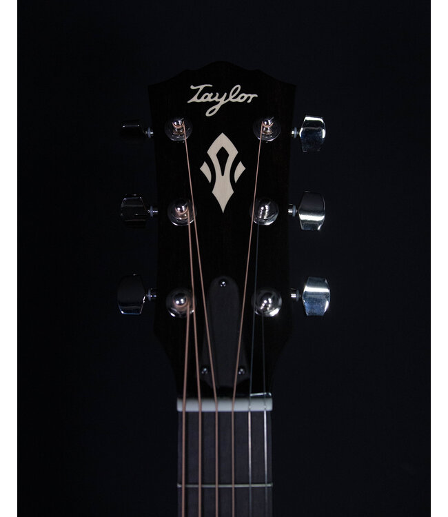Taylor Gold Label 717e, Natural