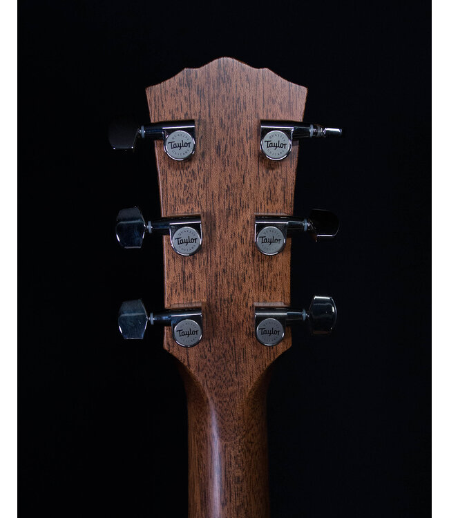 Taylor Gold Label 717e, Natural