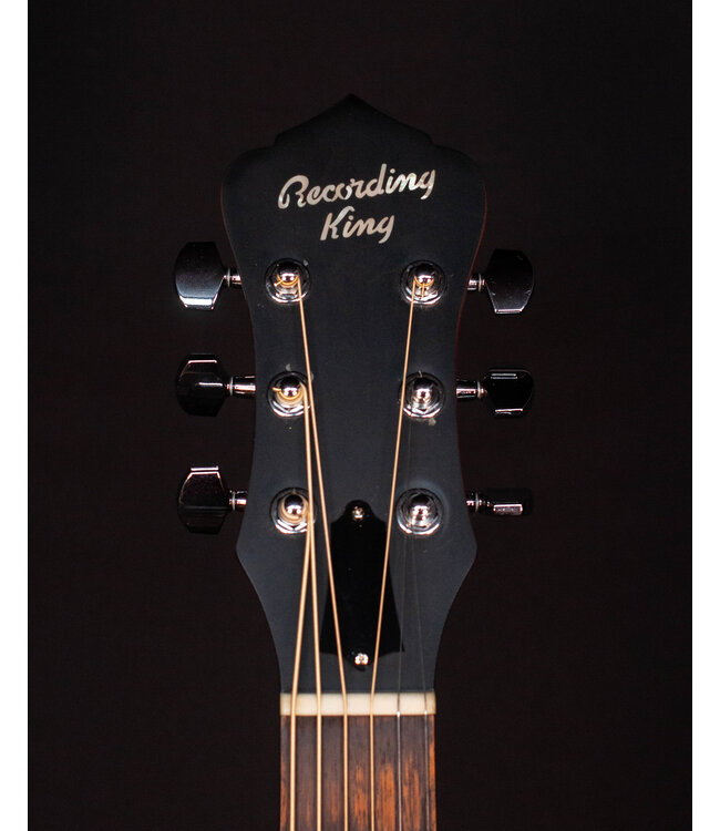 Recording King Swamp Dog Style-O Resonator, Distressed Vintage Green - USED