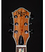 Michael Kelly Hybrid Special, Pau Ferro, Spalted Maple, w/Gig Bag - USED