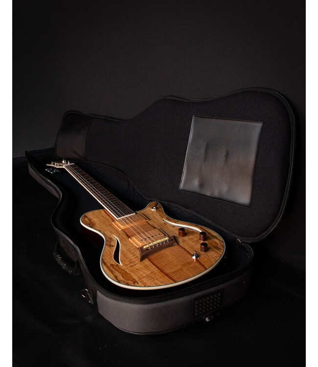 Michael Kelly Hybrid Special, Pau Ferro, Spalted Maple, w/Gig Bag - USED