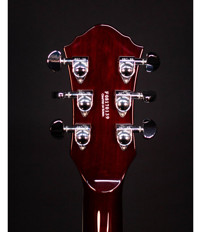 Michael Kelly Hybrid Special, Pau Ferro, Spalted Maple, w/Gig Bag - USED