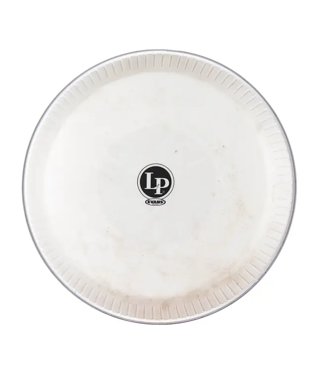 LP 9-3/4" Tri-Center Requinto Head by Evans