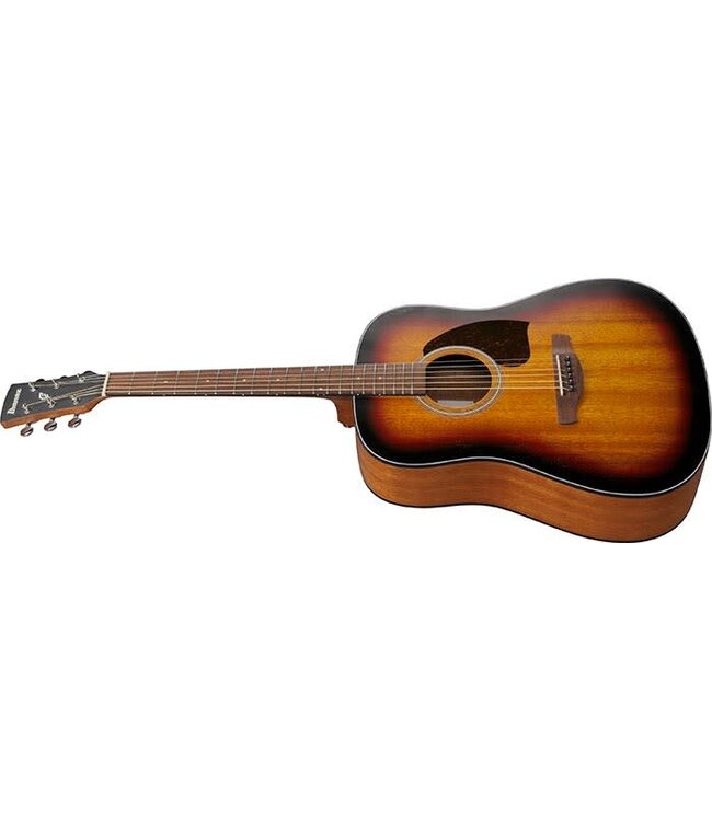 Ibanez PF54 Dreadnought Acoustic, Open Pore Vintage Sunburst Top