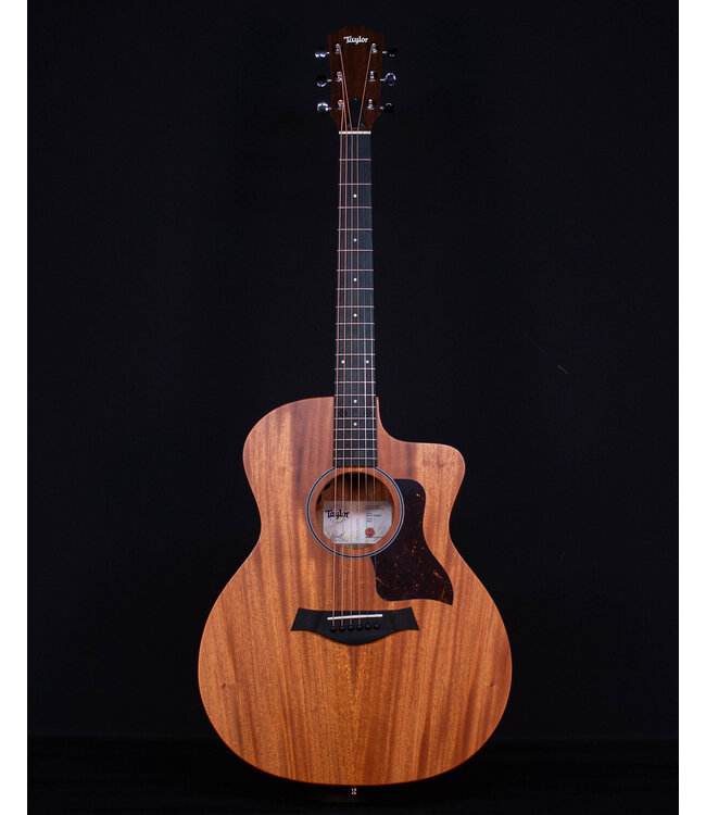 Taylor 24ce Acoustic Electric, Sapele/Mahogany
