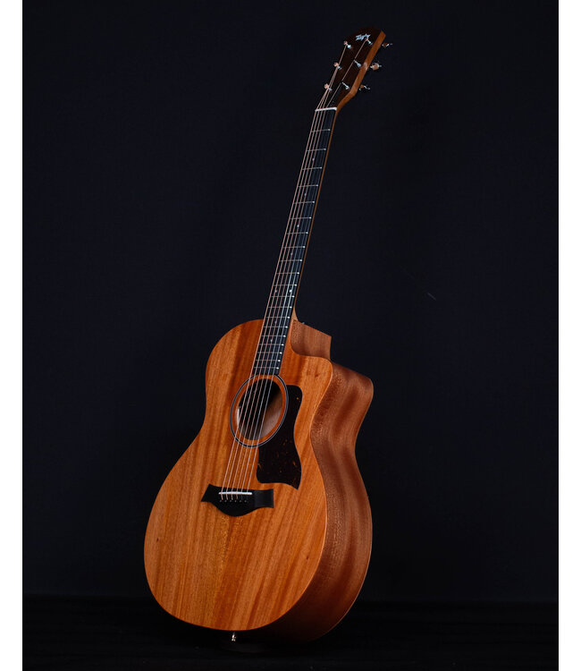 Taylor 24ce Acoustic Electric, Sapele/Mahogany