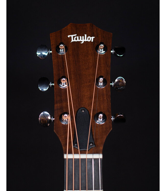 Taylor 24ce Acoustic Electric, Sapele/Mahogany