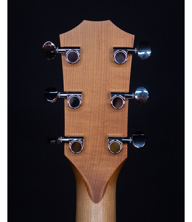 Taylor 24ce Acoustic Electric, Sapele/Mahogany