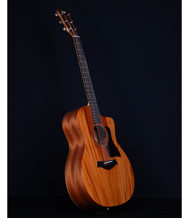 Taylor 24ce Acoustic Electric, Sapele/Mahogany