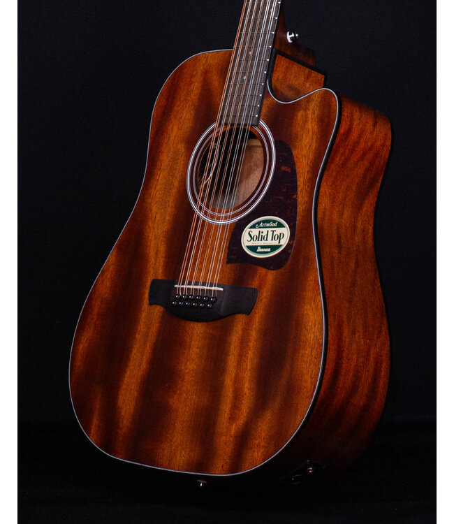 Ibanez AW5412CE, 12-String, Open Pore Natural