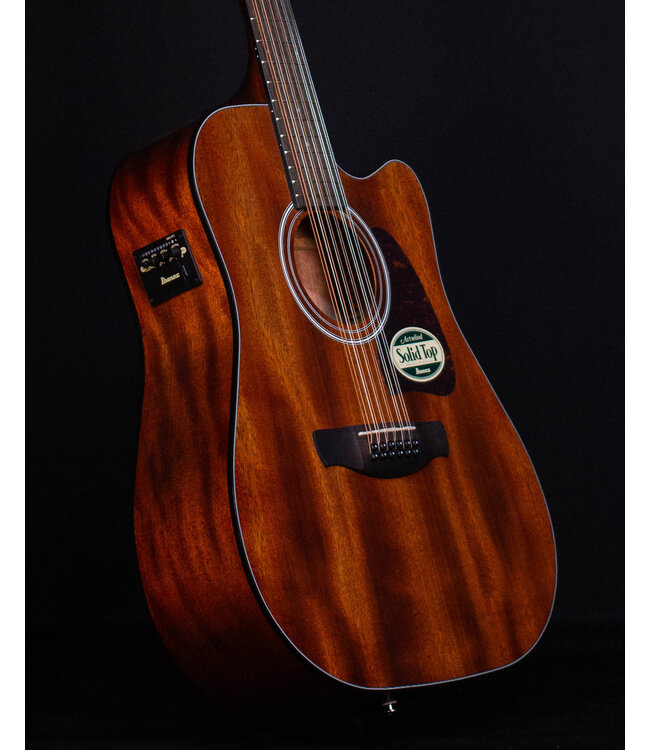 Ibanez AW5412CE, 12-String, Open Pore Natural