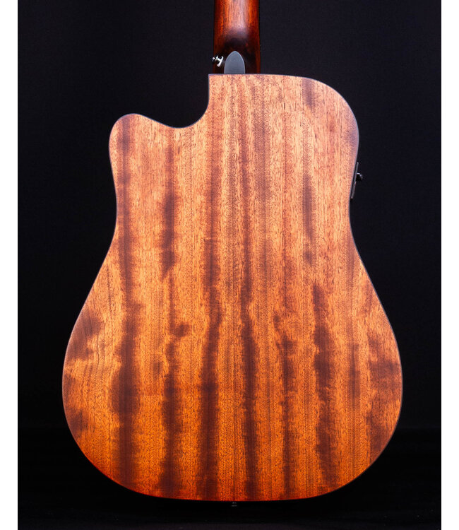 Ibanez AW5412CE, 12-String, Open Pore Natural