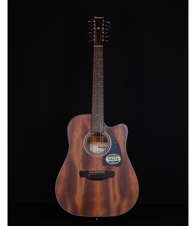 Ibanez AW5412CE, 12-String, Open Pore Natural