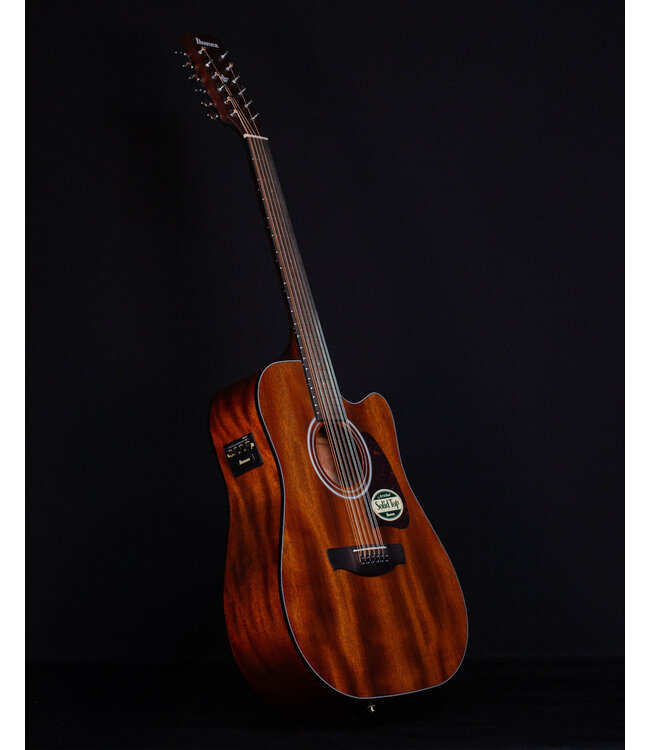 Ibanez AW5412CE, 12-String, Open Pore Natural