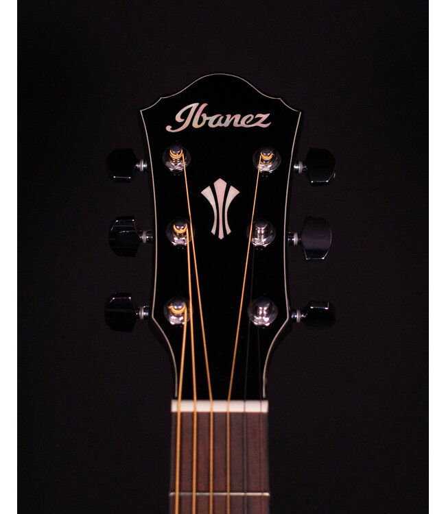 Ibanez AEG62 Acoustic/Electric, Natural Mahogany High Gloss