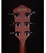 Ibanez AEG62 Acoustic/Electric, Natural Mahogany High Gloss