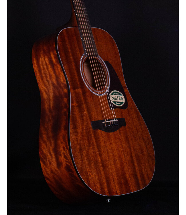 Ibanez AW54 Acoustic, Open Pore Natural